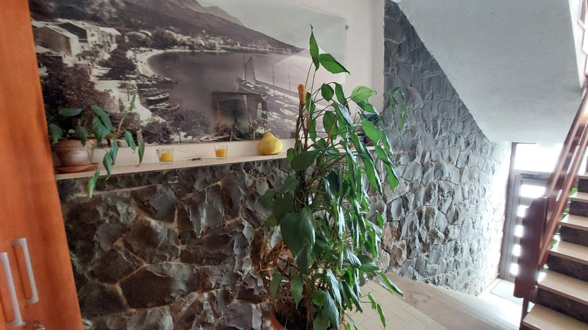 Haus Sonja Apartment Podgora Bagian luar foto